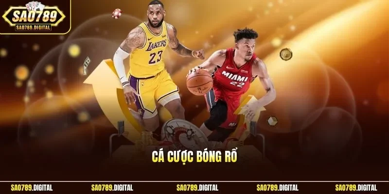 Cá cược bóng rổ
