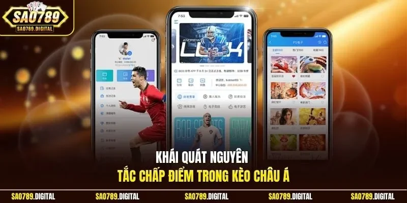 Khái quát nguyên tắc chấp điểm trong kèo châu Á