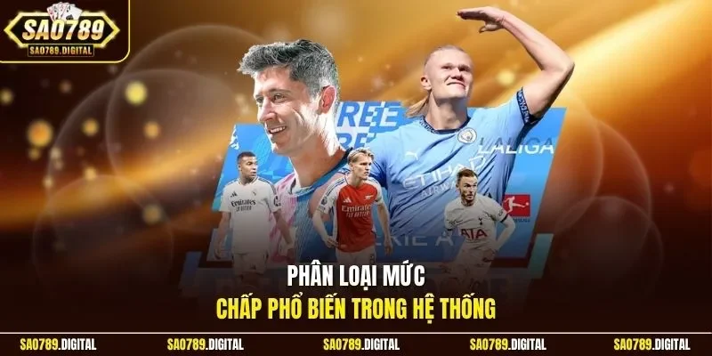 Phân loại mức chấp phổ biến trong hệ thống